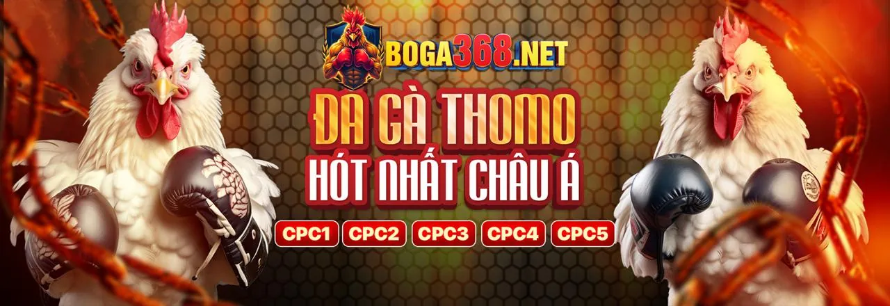 Yêu cầu hệ thống cho ứng dụng 02go8