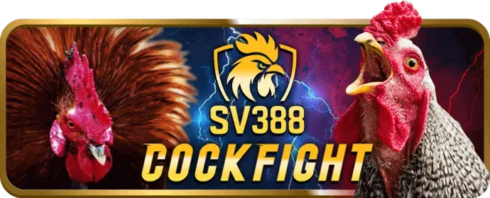 Đá gà trực tuyến 02go8